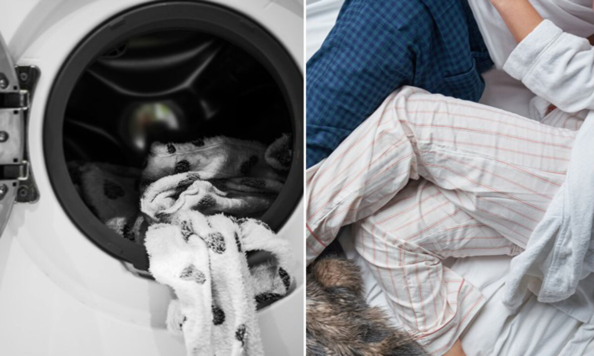 “한 번 갈아입으면 1~2주는 입는데”…하루만 지나면 세균 범벅이라고? [수민이가 궁금해요]