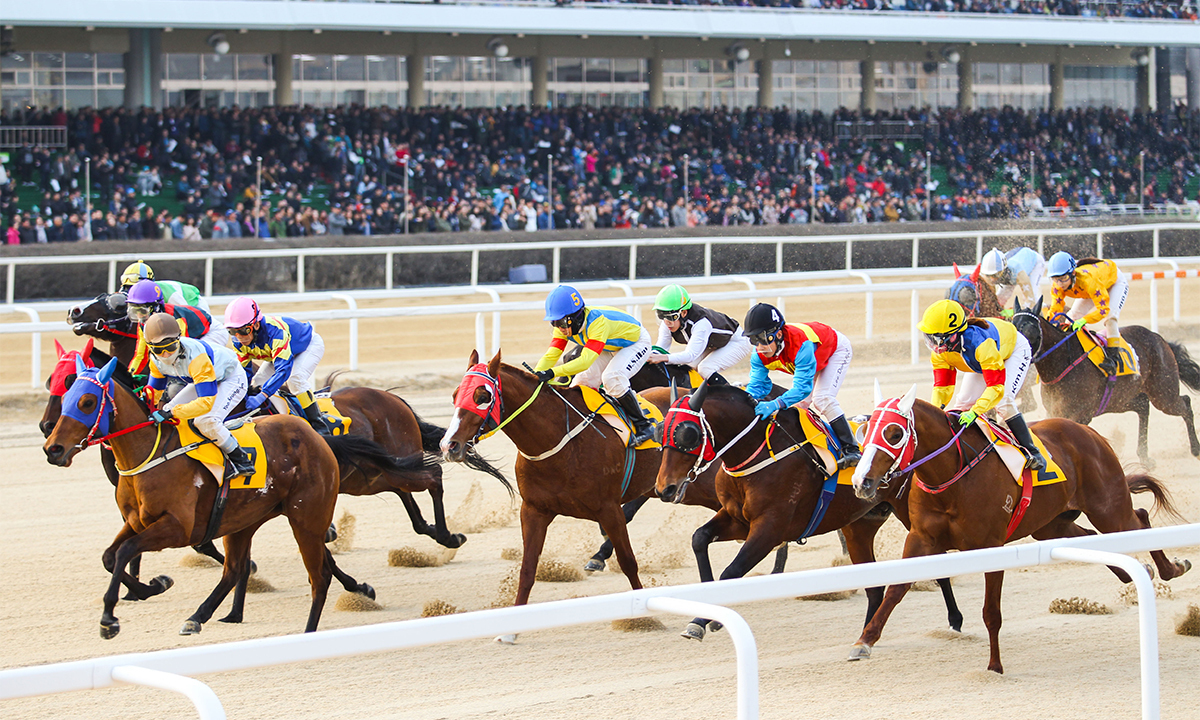 새해를 이끄는 소리 [이상권의 카덴자]