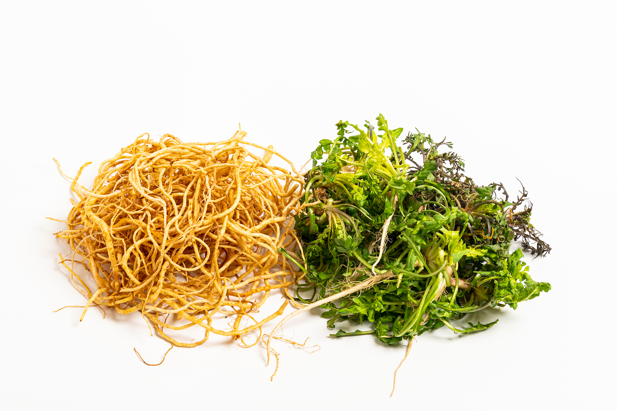 “삼겹살엔 상추? ‘맛잘알’은 씀바귀도 먹어요”…기름기 싹 씻어줄 '나물의 반전' [FOOD+]