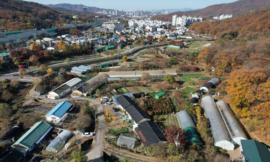 사진 이미지