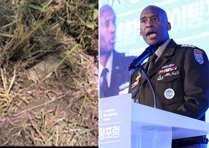 사진 이미지