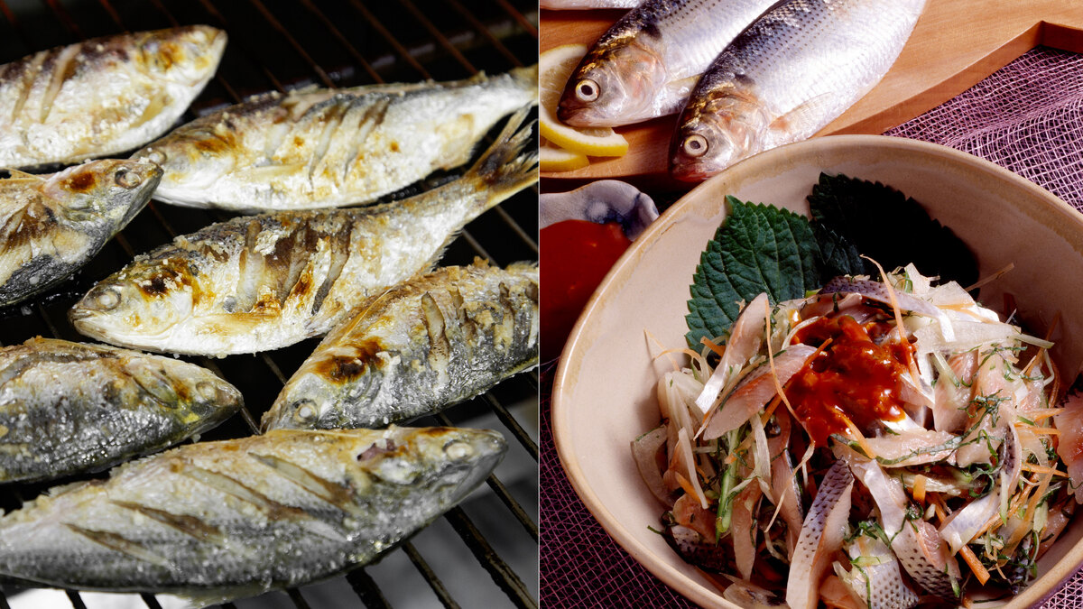 ‘집 나간 며느리도 돌아온다’는 그 맛…가을 전어가 유독 고소한 이유 [FOOD+]